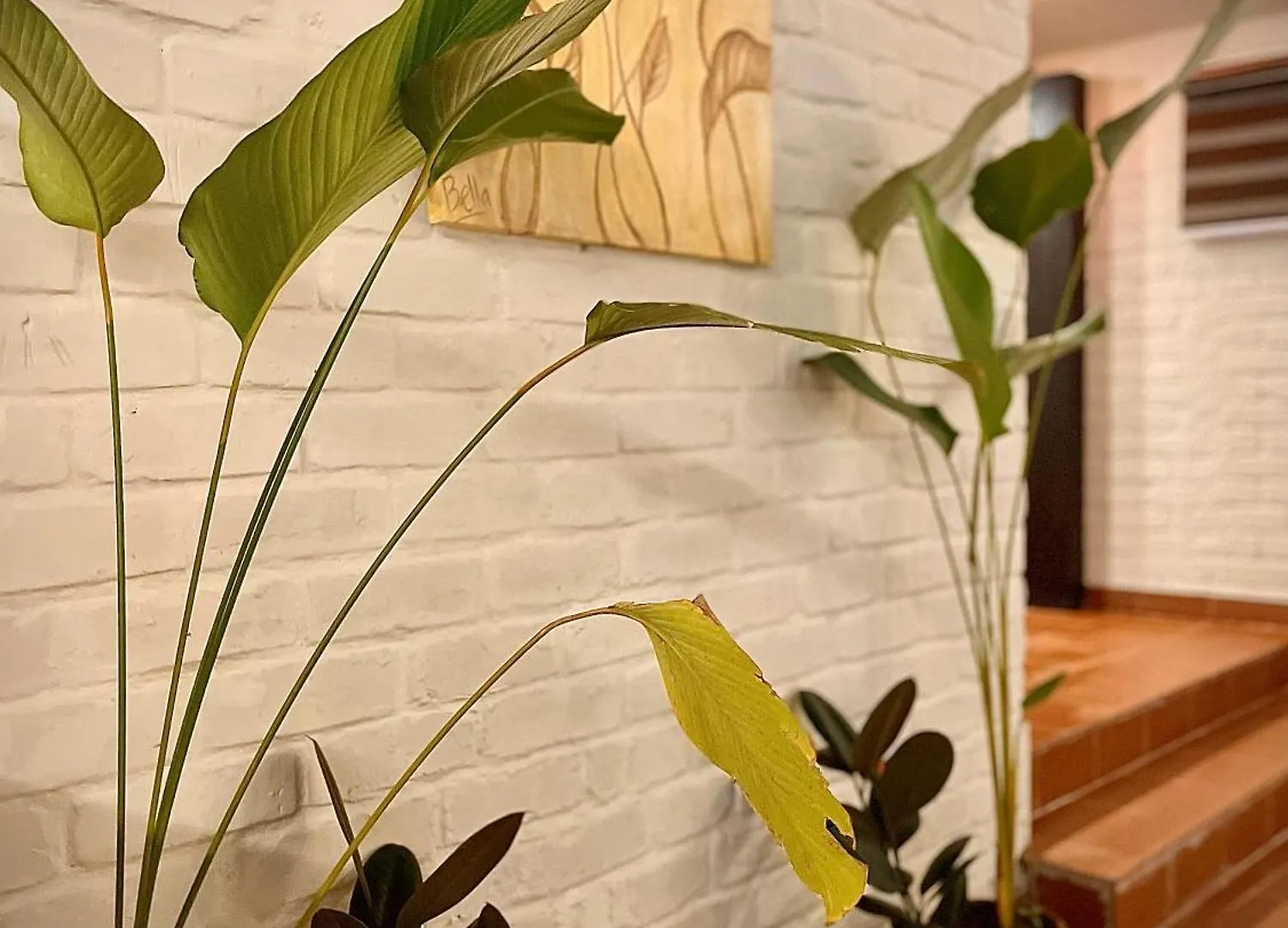 Boho'S Hotel Varkala